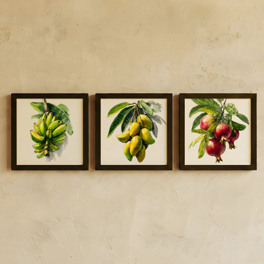 Framed Wall Art | Set of 3 | Orchard Vignettes Collection